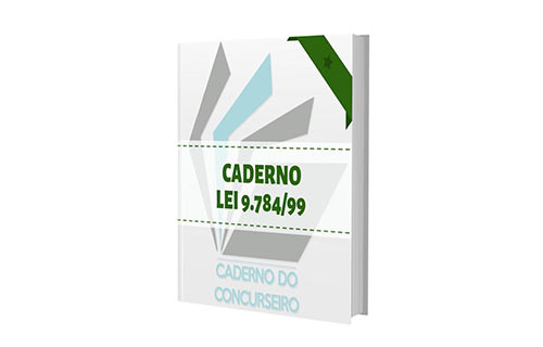 CADERNO DA LEI 9.784/99